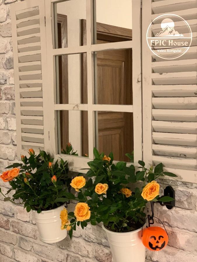 Epic House Valea Avrigului Villa Екстериор снимка