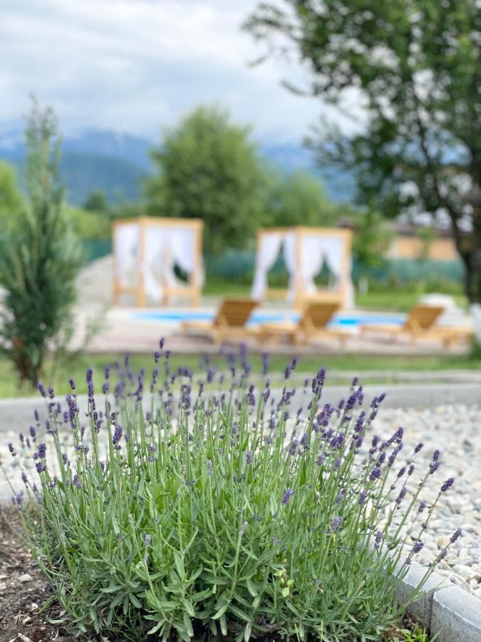 Epic House Valea Avrigului Villa Екстериор снимка