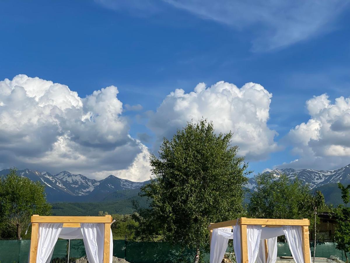 Epic House Valea Avrigului Villa Екстериор снимка