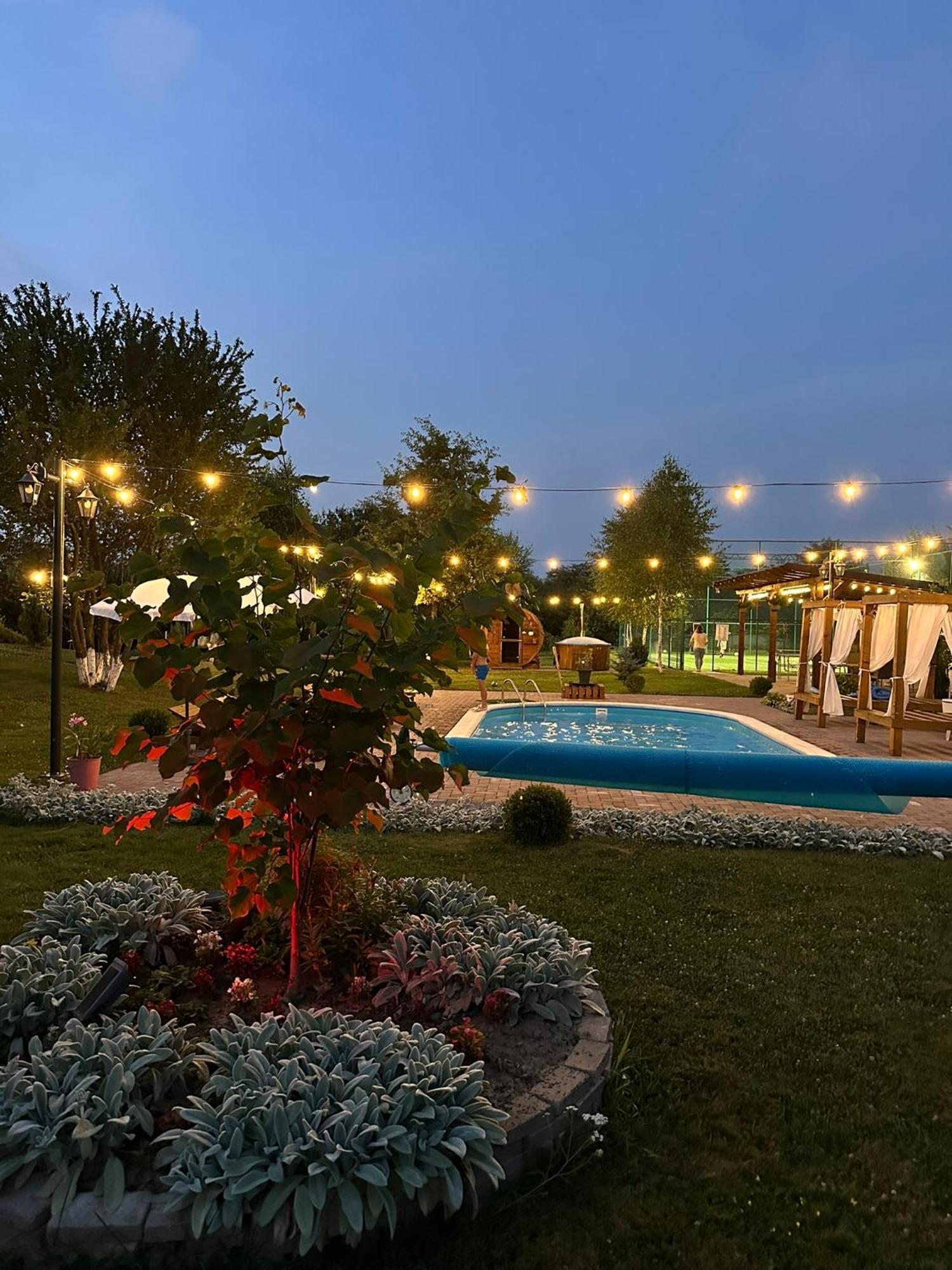 Epic House Valea Avrigului Villa Екстериор снимка