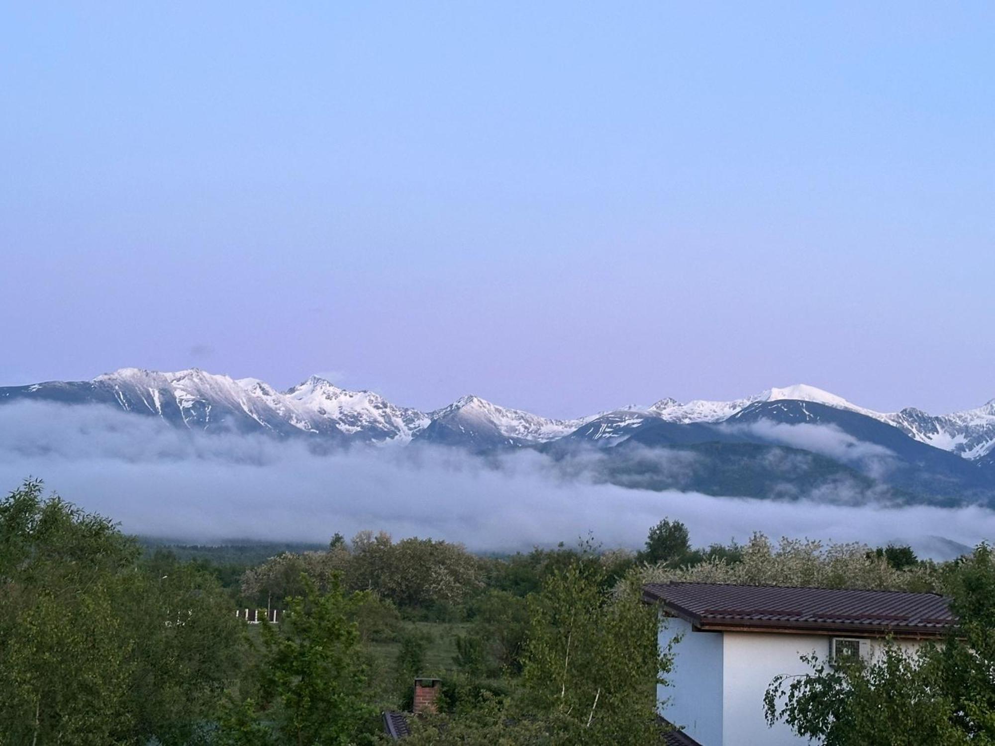 Epic House Valea Avrigului Villa Екстериор снимка